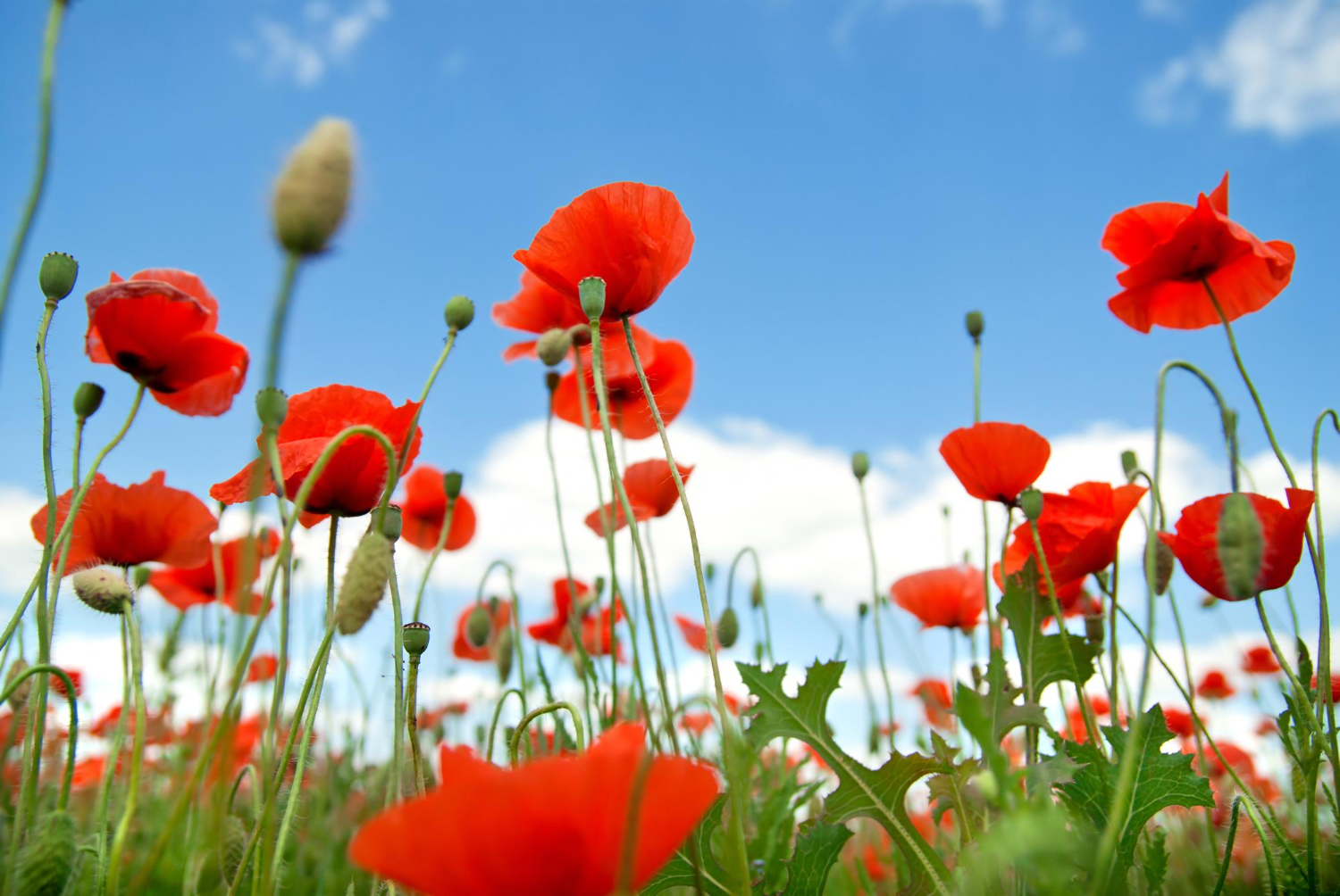 5 Abitudini per la Primavera