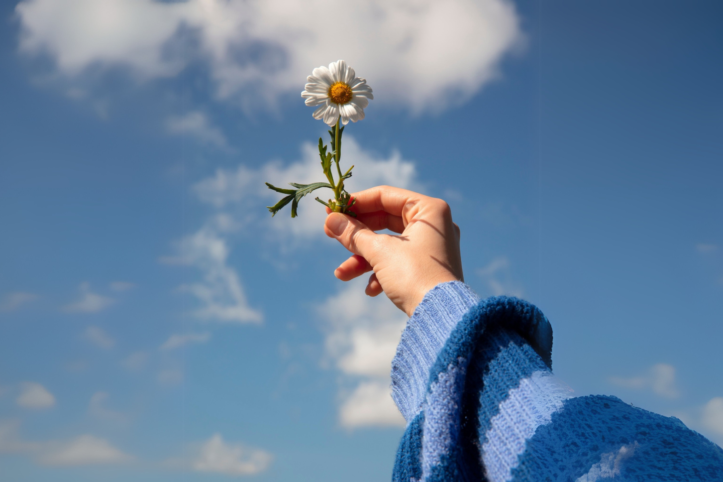 5 Abitudini per la Primavera